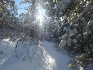 Spruce Mountain Open Space Trail