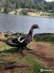 Parque Ecologico Los Salados