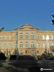 musée ducal de Gotha