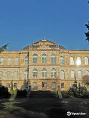 Herzogliches Museum