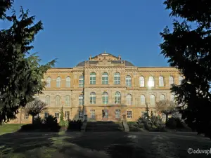 Herzogliches Museum