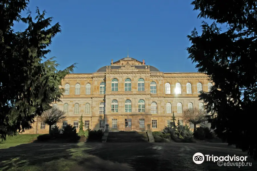 musée ducal de Gotha