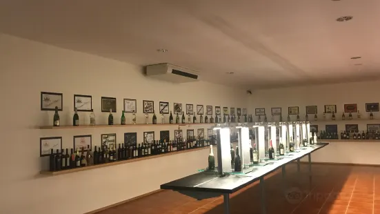 Museu Do Vinho Da Bairrada