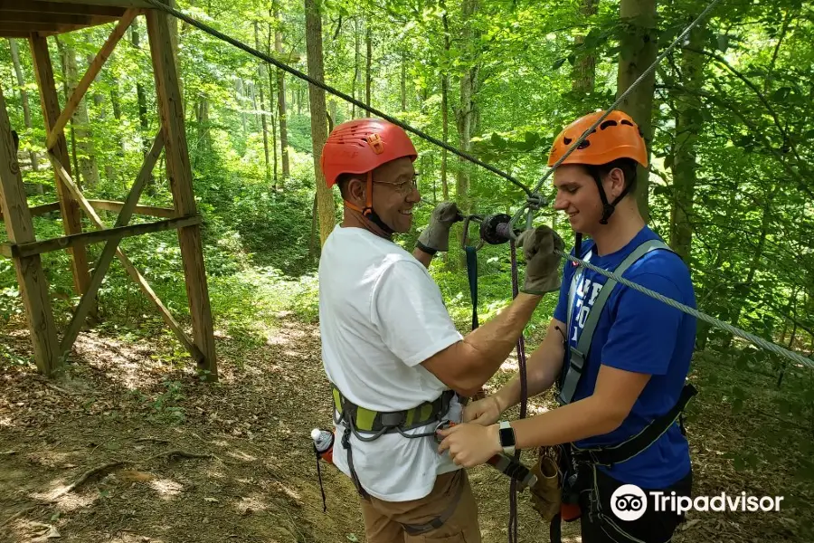 Carolina Ziplines Canopy Tour