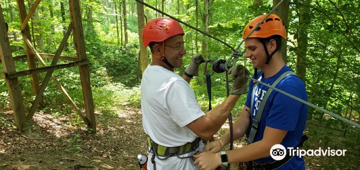 Things to Do in Quaker Gap in 2024 Top Attractions, Local Food