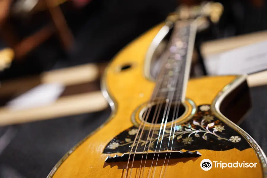 The Gallery of Iconic Guitars (The GIG) at Belmont