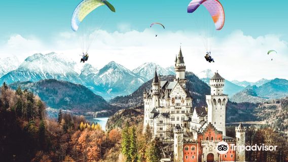 FLY ROYAL Paragliding