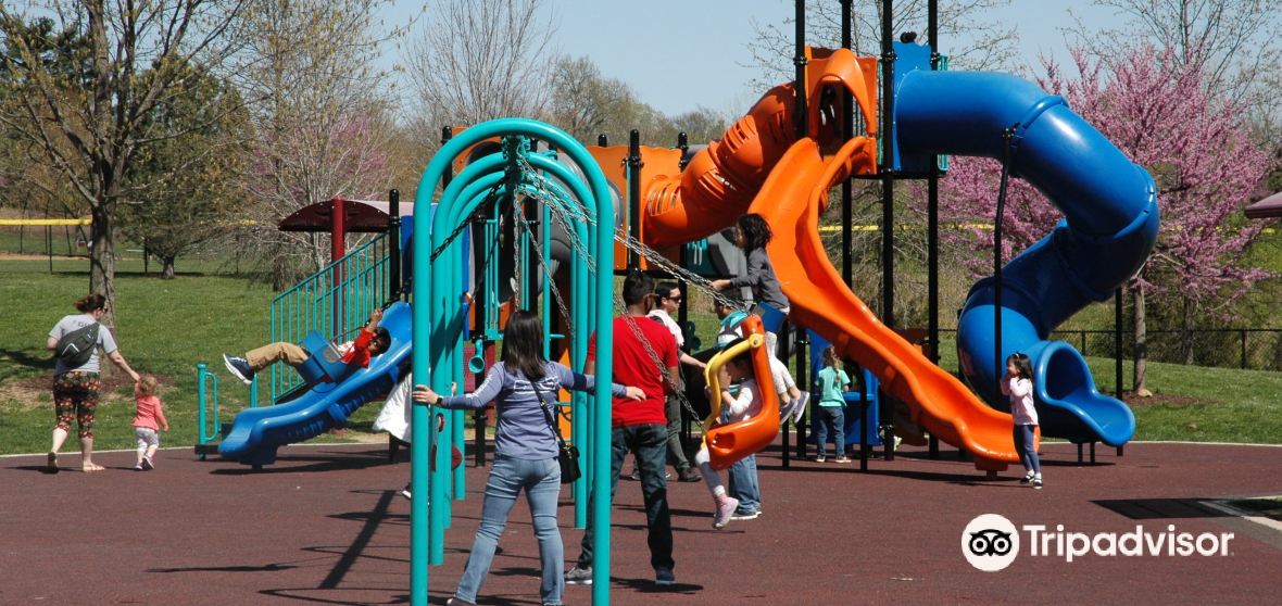 Things to Do in Creve Coeur in 2024 Top Attractions, Local Food