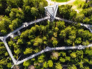 skywalk allgäu Wald Abenteuerwelt