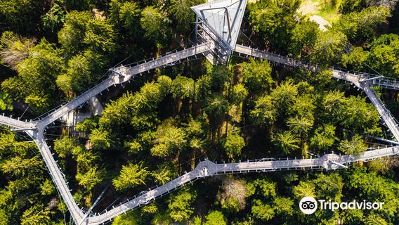 Skywalk Allgau Naturerlebnispark