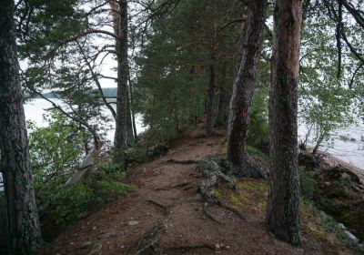 Saarijarvi-Viitasaari