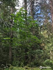 Prior Centennial Campground - Gulf Islands National Park Reserve