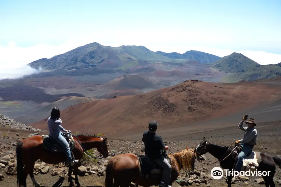 Pony Express Tours