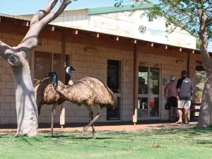 Ningaloo Aquarium and Discovery Centre