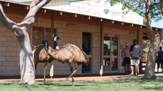 Ningaloo Aquarium and Discovery Centre