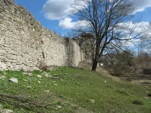 Porkhov Local History Museum / castle