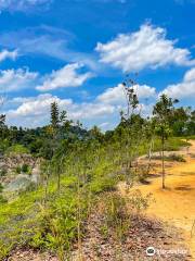 Shah Alam Community Forest Trail head