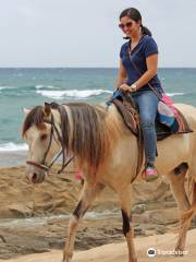 Tropical Trail Rides - Isabela
