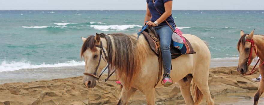 Tropical Trail Rides