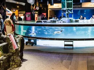 Greater Cleveland Aquarium