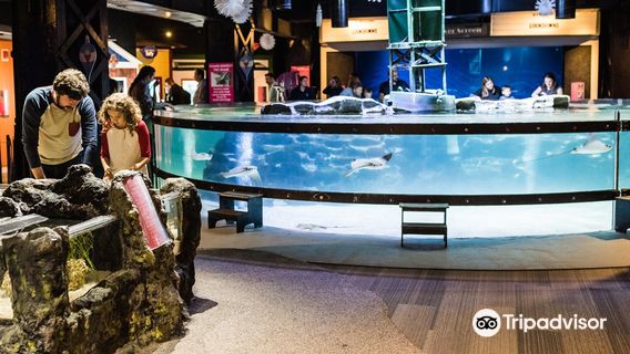 Greater Cleveland Aquarium