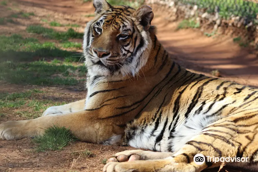 Tiger Creek Wildlife Refuge