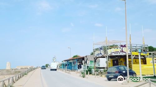 Playa El Palmar