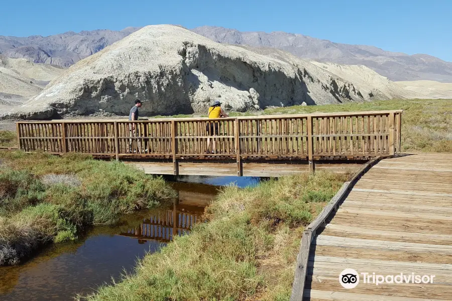 Salt Creek Interpretive Trail