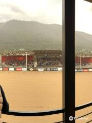 Jackson Hole Rodeo