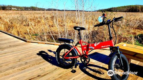 Potomac Heritage National Scenic Trail Neabsco Creek Boardwalk