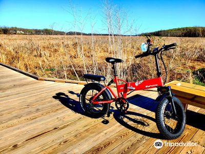 Neabsco Creek Boardwalk