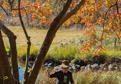 Mass Audubon's Allens Pond Wildlife Sanctuary