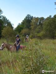 D-N-D Stables Guided Trail Rides