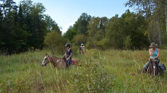 D-N-D Stables Guided Trail Rides