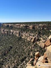 Soda Canyon Overlook Trail