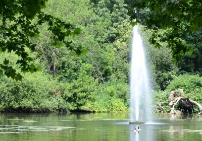 Wanstead Park