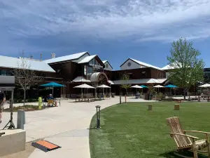 New Belgium Brewing Company