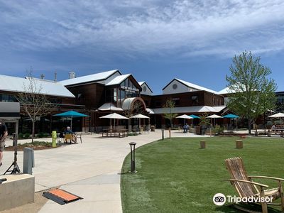 New Belgium Brewing Company
