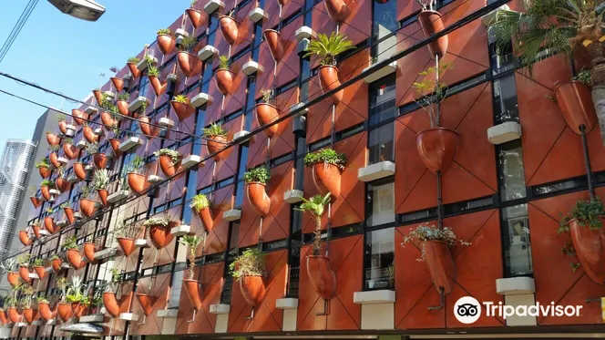 2_大阪有機植物大廈