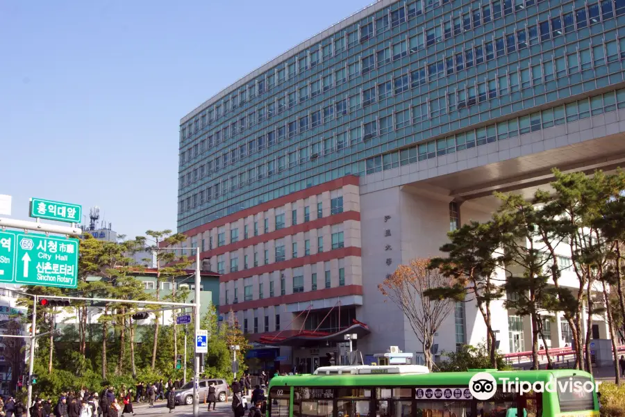 Campus di Seul dell'Università Hongik