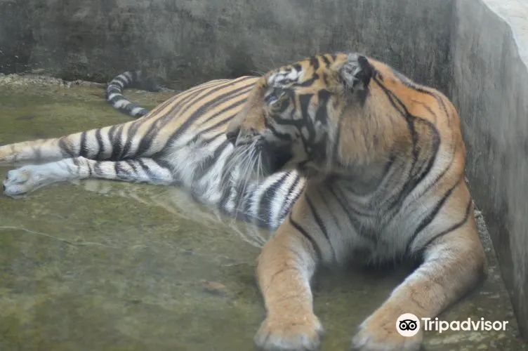 4_Colombo Dehiwala Zoological Gardens