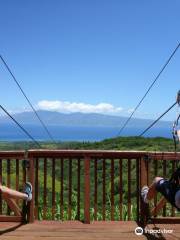 Kapalua Ziplines