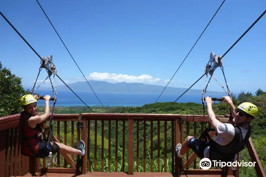 Kapalua Ziplines