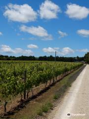 Cambridge Road Vineyard - Martinborough