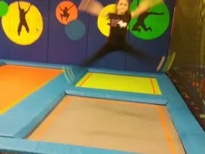 Party Safari