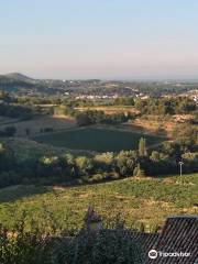 Maison des Vins et du Tourisme