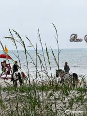 Amelia Island State Park