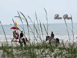 Amelia Island State Park