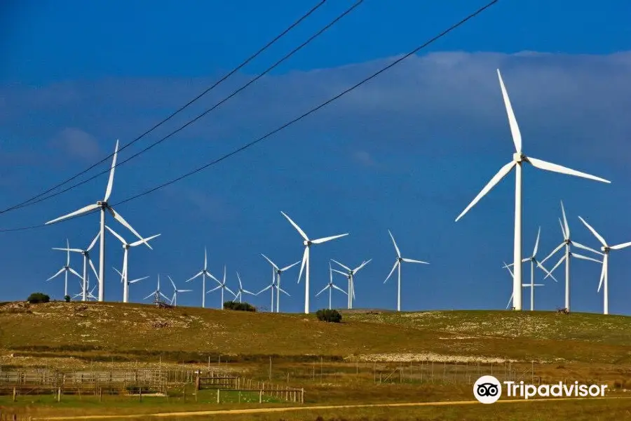 Woakwine Range Wind Farm Tourist Drive