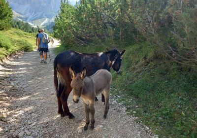 Rifugio Firenze